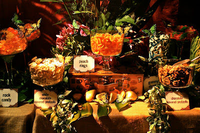A Jungle Safari Themed Candy Station! Journey 2 The Mysterious Island Premiere