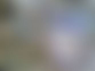 Harmonie & Hpnotiq makes a fabulous appearance at The Buzz Girls event- Spring into Summer @ Fr