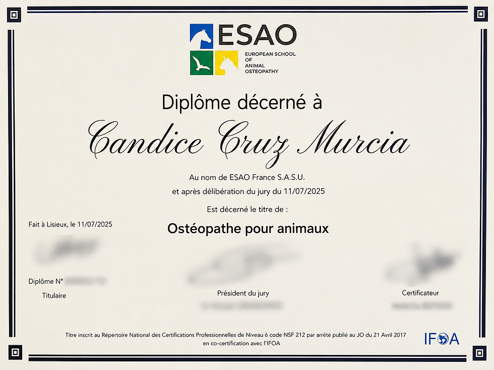 Diplôme d'ostéopathe animalier pour Candice Cruz Murcia.