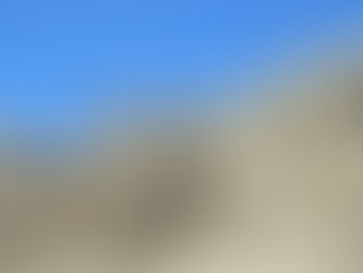 Anza-Borrego Sheep Count - Fall 2017