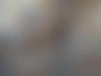 Conservation - Fall 2017