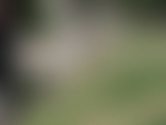 Bighorn Barrier Progress in La Quinta - Spring 2017