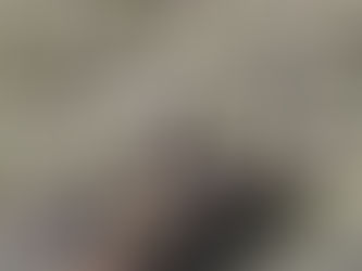 New Range-Wide Population Estimate - Spring 2017