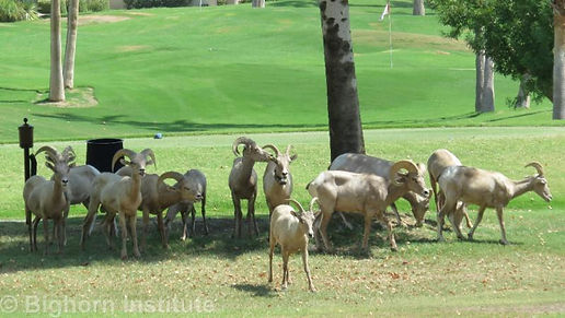 group at PGA West.jpg
