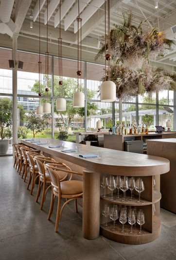 fresh interior with light wood, hanging plants, and open space