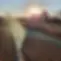 Spraying 2.jpg
