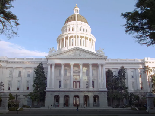 Bringing Governance Back to the People: The Outsourcing of Government Services