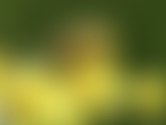 The Science Behind Our Sneezes: The Hidden Power of Pollen