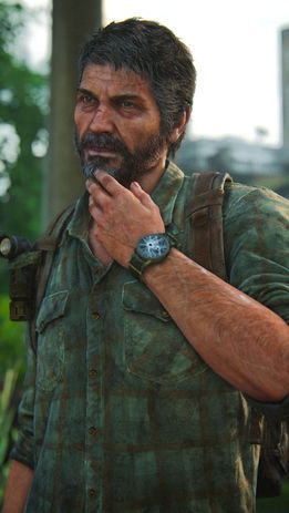 The Last of Us