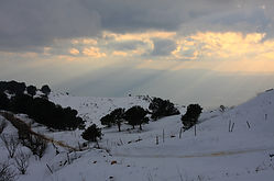 Winter Sunrise