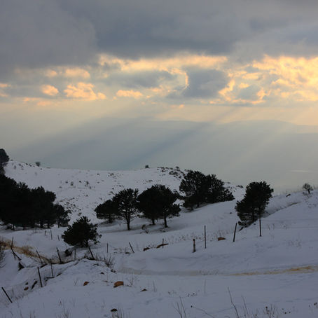 WINTER SOLSTICE REFLECTIONS & RITUALS