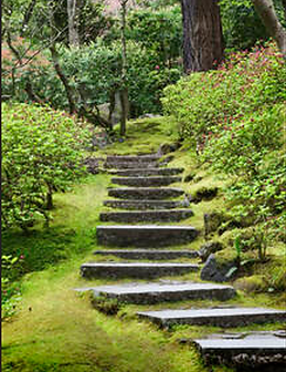 Steps.png