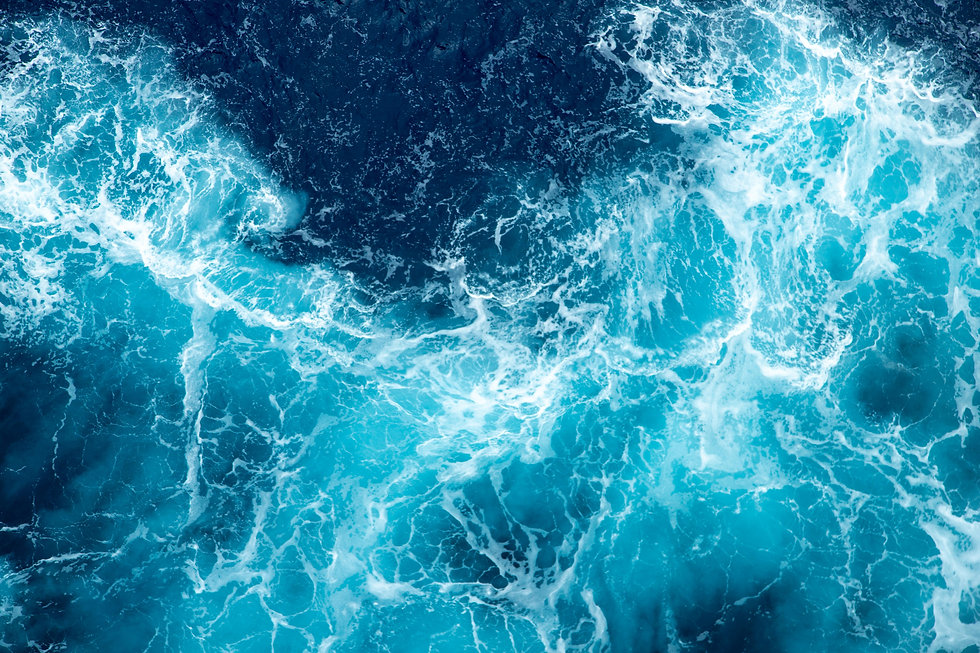 AdobeStock_316652264.jpeg