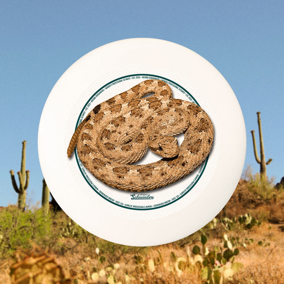 Thumbnail: Discraft Ultrastar 175g Disc