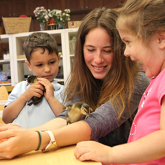 Students and teacher hold baby chicks at Neshama Preschool
