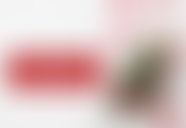 Joyeuses Fêtes de fin d'Année ! 