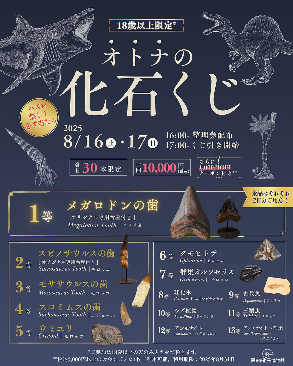 【18歳以上限定】オープン1周年企画「オトナの化石くじ 2025」8/16、17開催