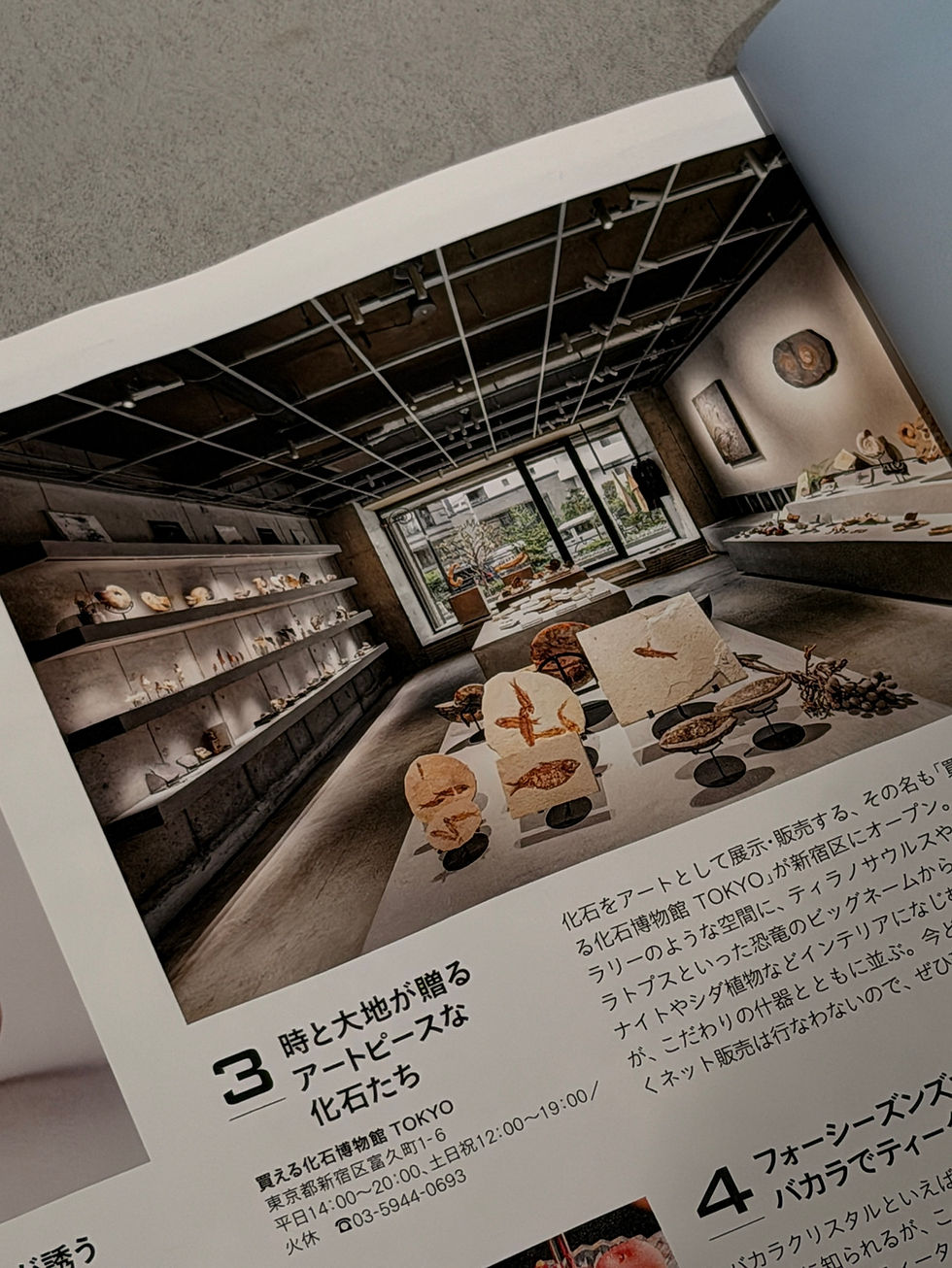 【雑誌】「芸術新潮 2026年7月号」に東京店が掲載