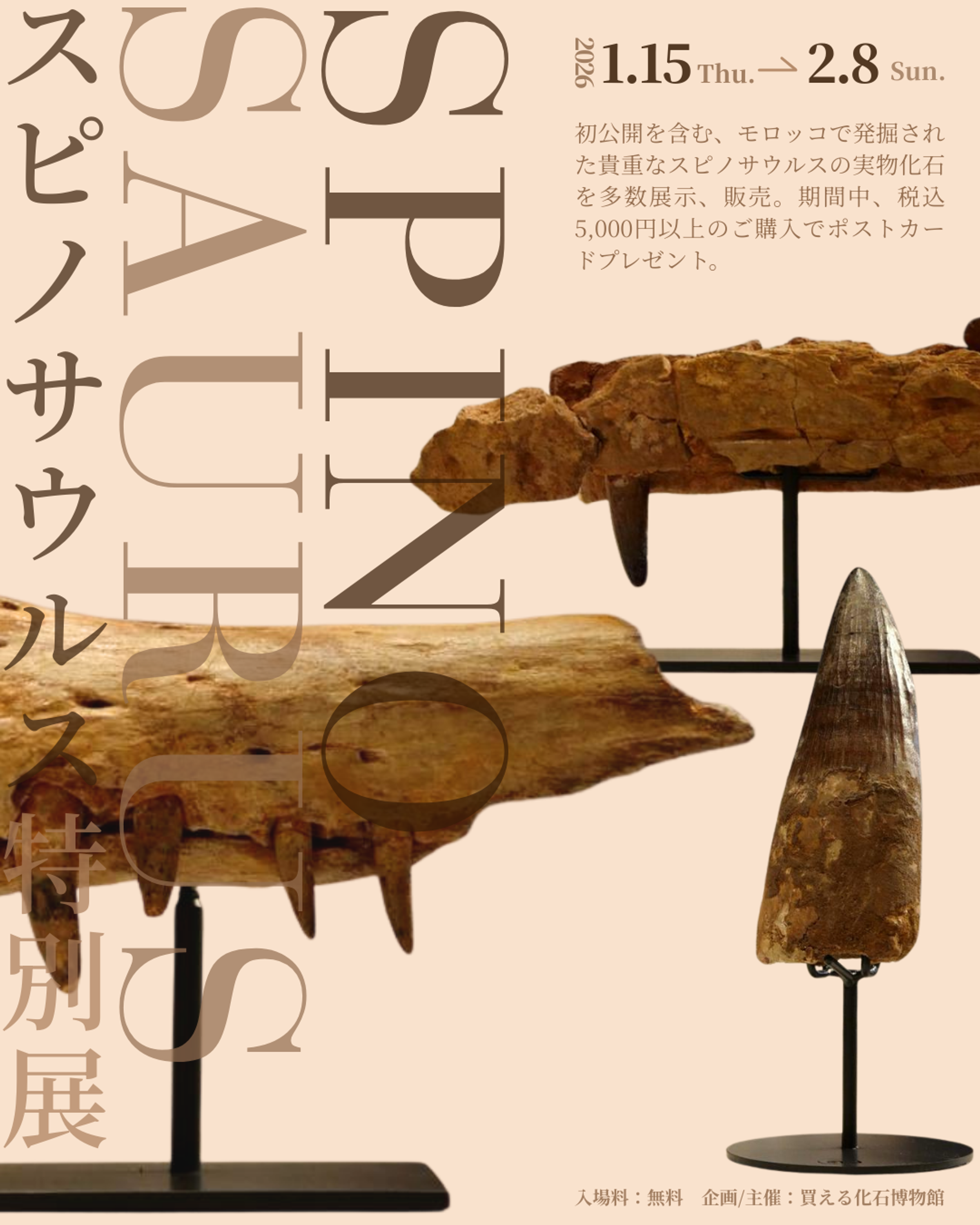 神秘の化石COLLECTION スピノサウルス＆オトドゥス Amazon.co.jp: 神秘の化石COLLECTION スピノサウルス(恐竜)+オトドゥス