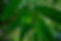 9K3A1278_edited.jpg