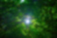 9K3A1284.jpg