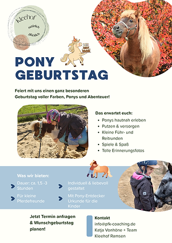 Pony Geb.png