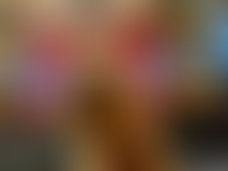 A Norfolk Terrier in front of a Chinese gong that says Teo Hot Pot