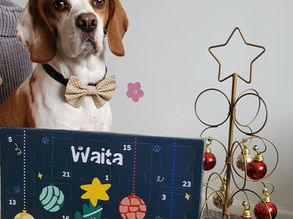 Waita Pets Advent Calendar