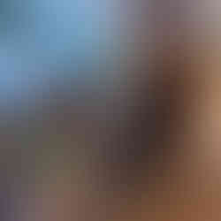 A brown cockapoo with Waita advent calendar