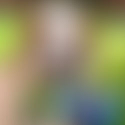 Skippers Fish Treats