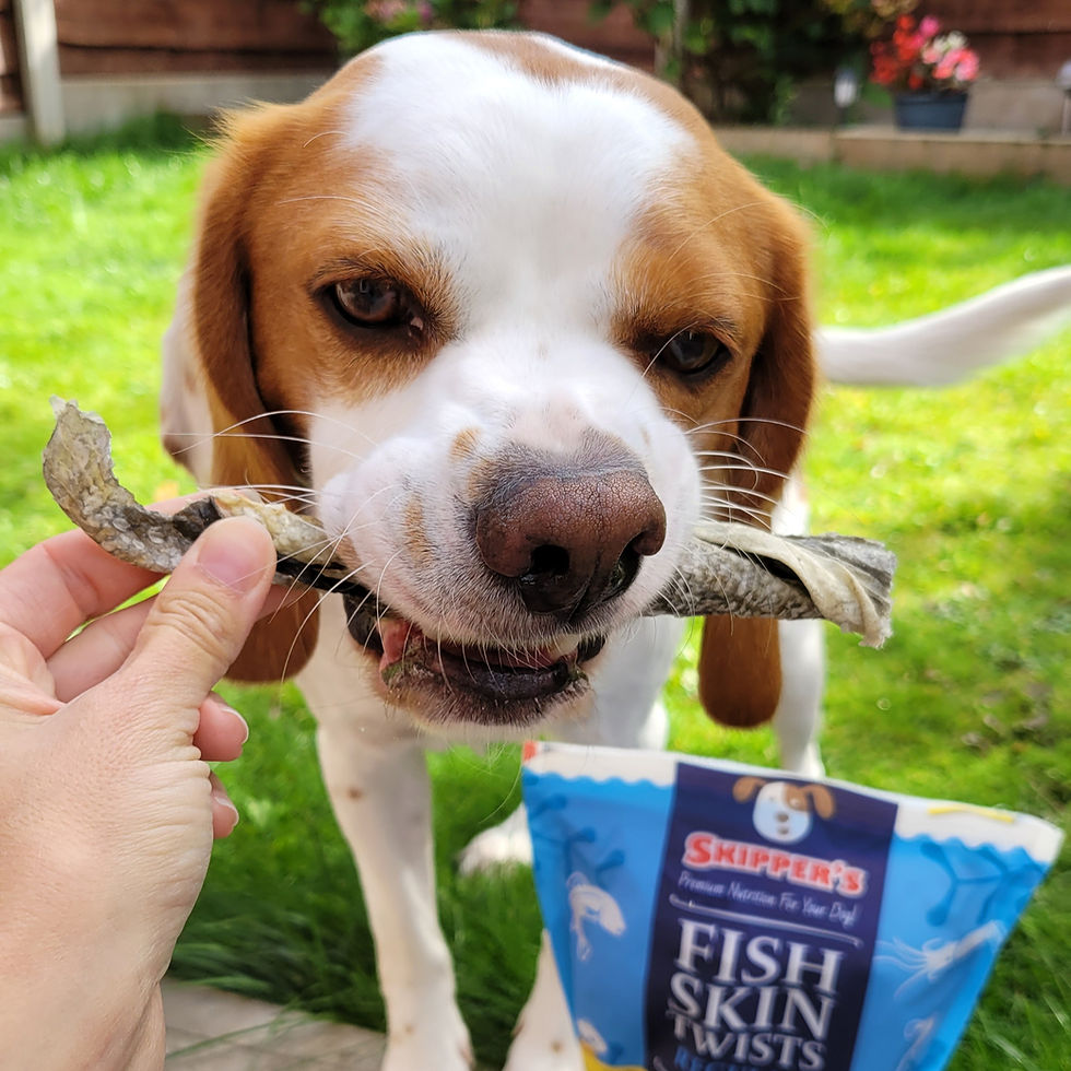 Skippers Fish Treats