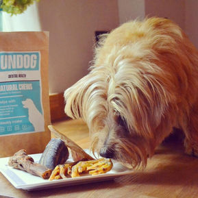 The Dog Nutritionist