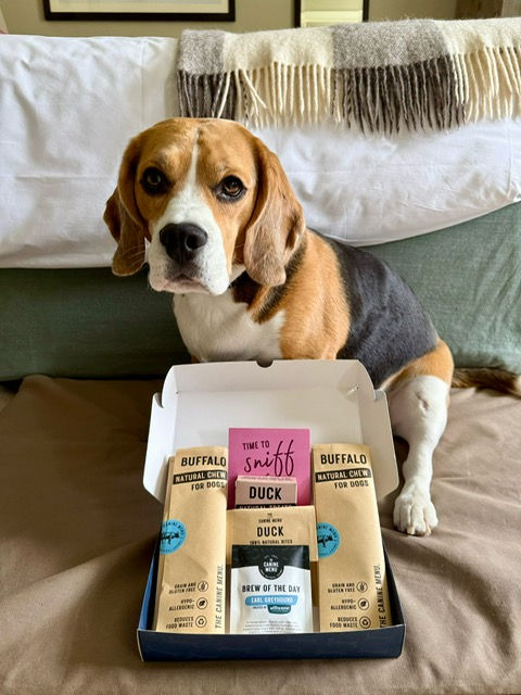 Beagle sitting on a bed, looking curious. A box of dog treats labeled "Buffalo" and "Duck" is open in front, with a "Time to sniff" note.