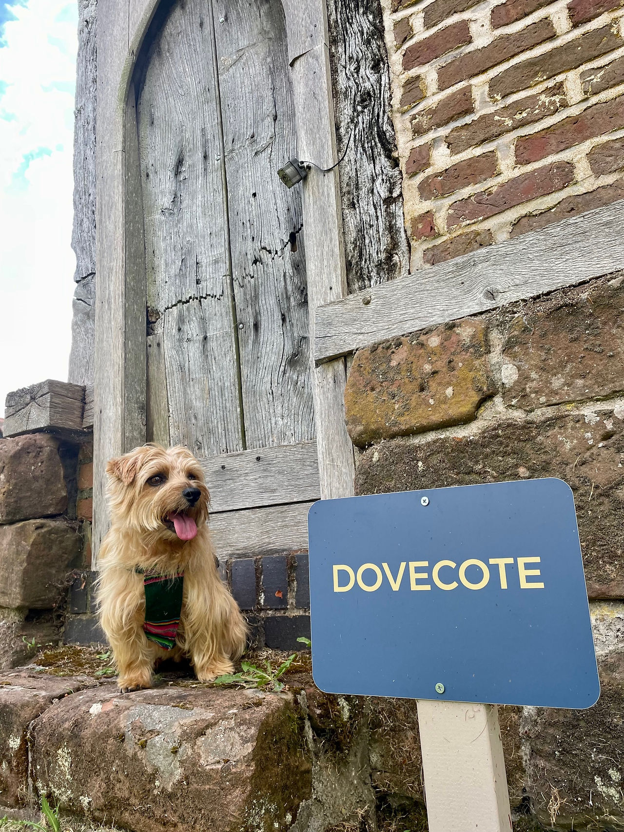 A dog on a step by a sign saying dovecote