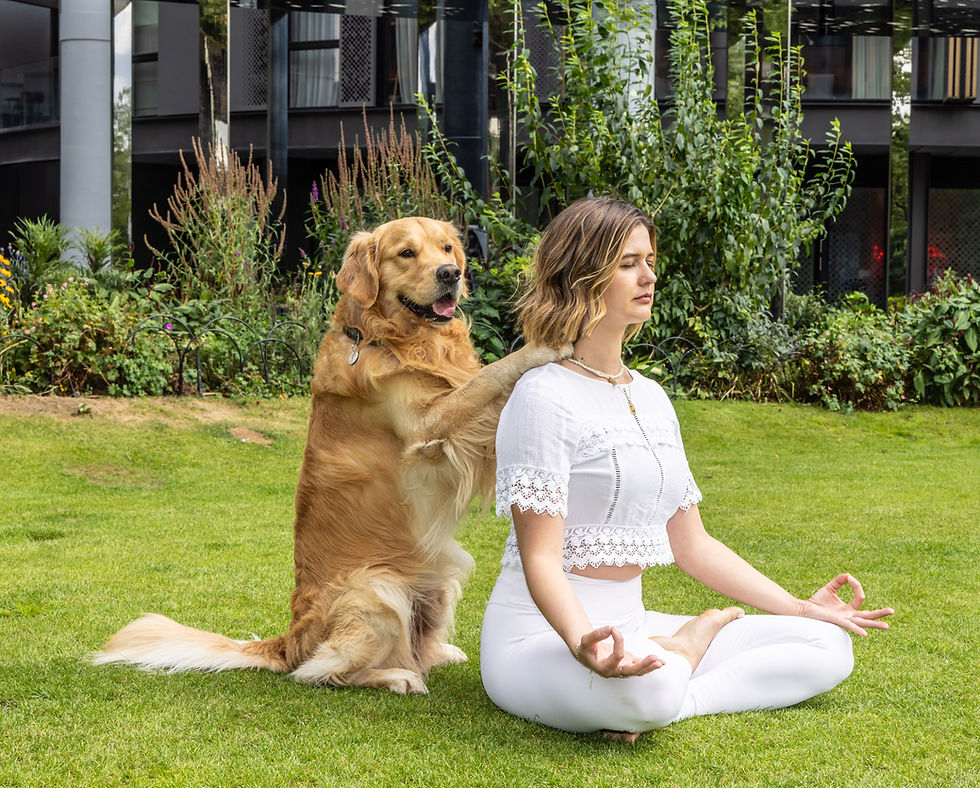Dog Parent Mindfulness