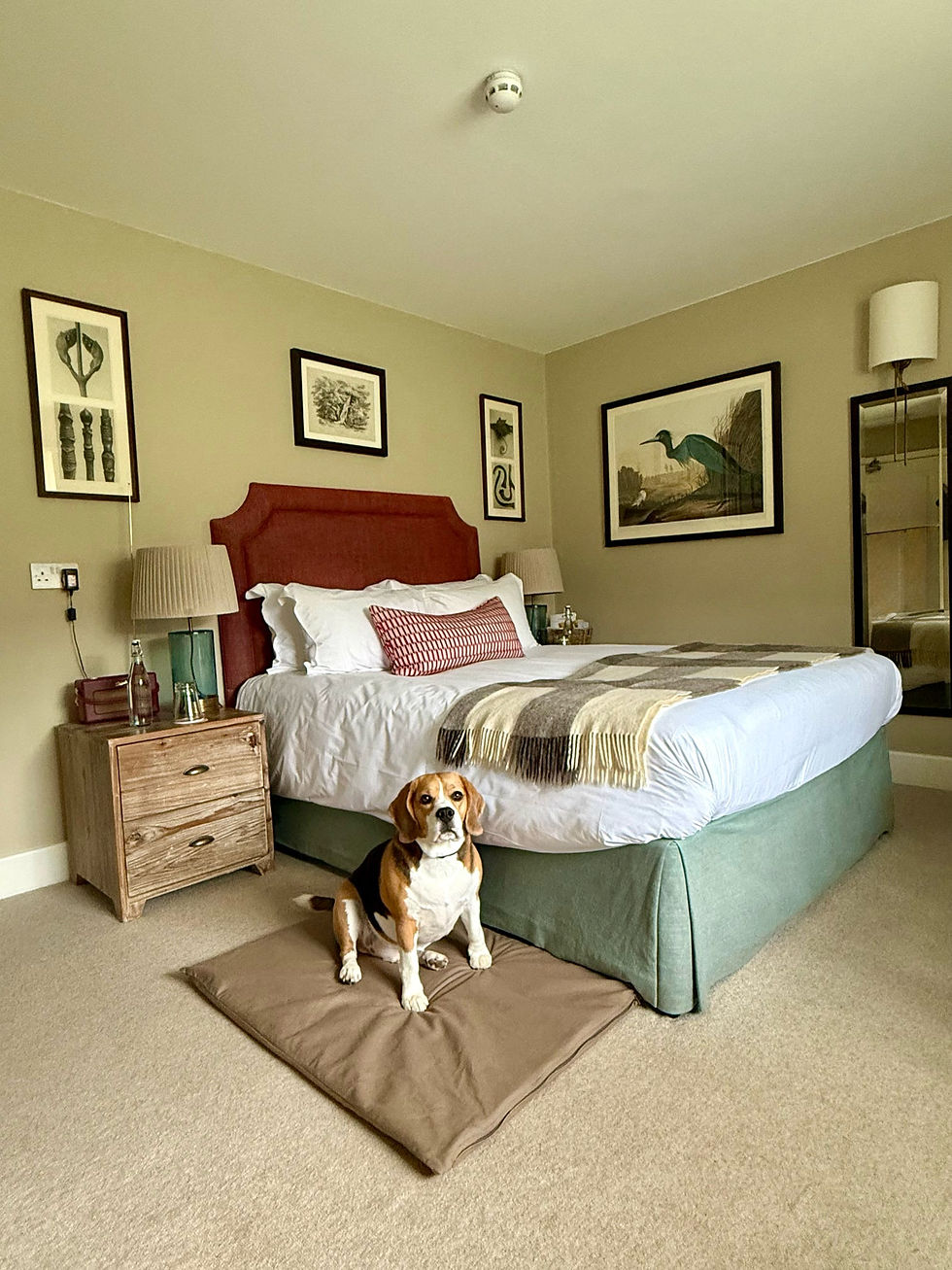 Beagle sitting on a brown mat in a cozy bedroom with a bed, red headboard, nightstand, framed art, and neutral decor.