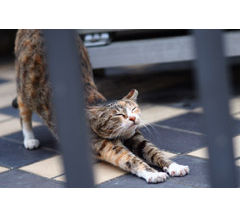 忘れたい記憶がありますか?