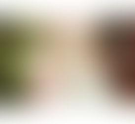 訓練の心構え ①