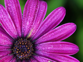 恋愛関係以外でも同じ