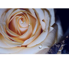 精一杯の積み重ねでよい