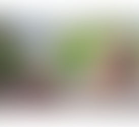 子どもゆえの解釈