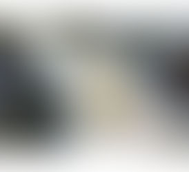 頑なな殻の代表