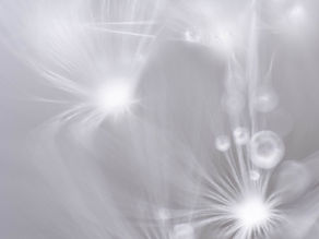 因縁を繰り返さないために