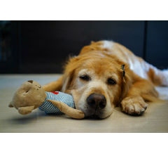 まず自分を知る