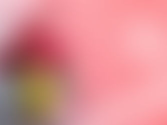 新しい輝きの芽生えのために