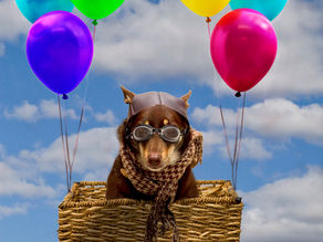 脳細胞に物申す