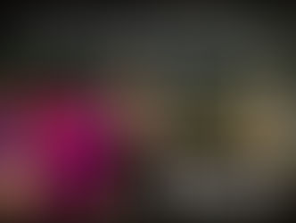 2022.11.06 | 昼)【観覧】Songs under the Moonlight