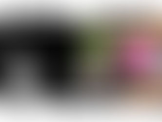 2022.02.22 |【観覧+配信】パラシュートセッションvol.105 「F.I.B JOURNAL meets Noise On Trash × gnkosaiBAND」