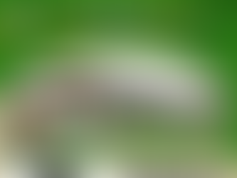 Soccer Free Tryout - Registration is Open!