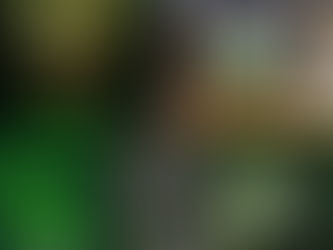 Bienvenu dans mon blog